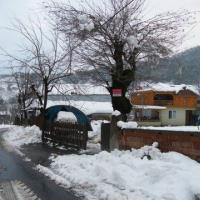 SEVDİKLERİNİZE YENİ YIL MESAJINIZI GÖNDERİN, YAYINLAYALIM. (Burayı tıklayıp okuyunuz)